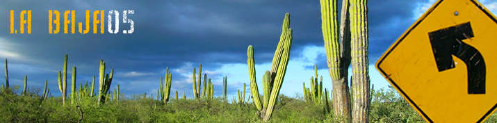 Baja California 2005 - [Ir a página principal]