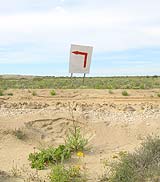 Desierto del Vizcaíno. Clic para ver colección