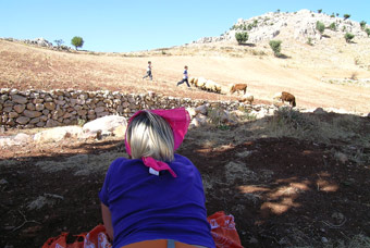 Después del picnic